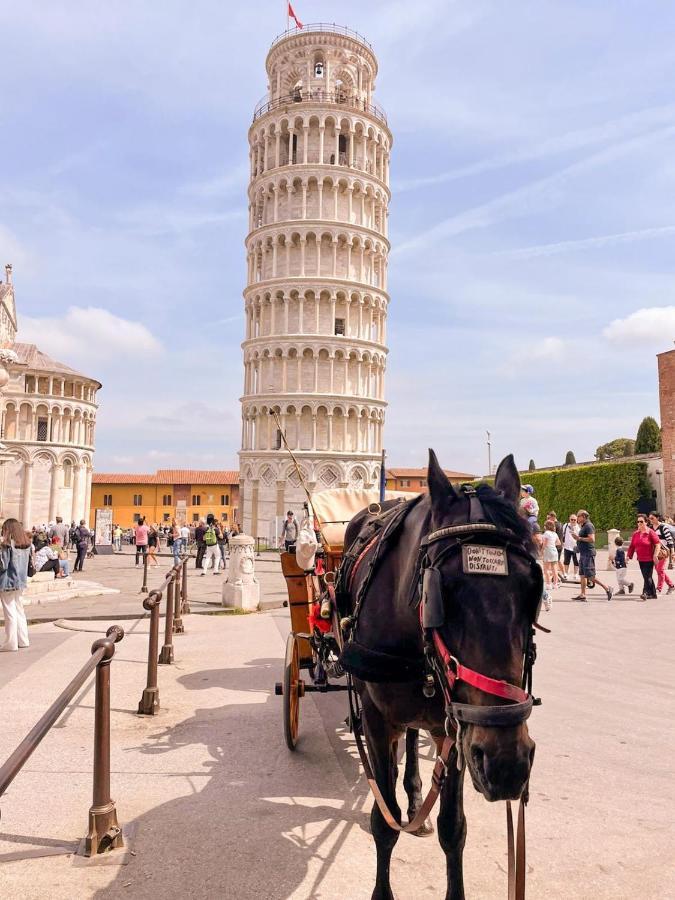 Il B&B Dei Viaggiatori Pisa Eksteriør bilde